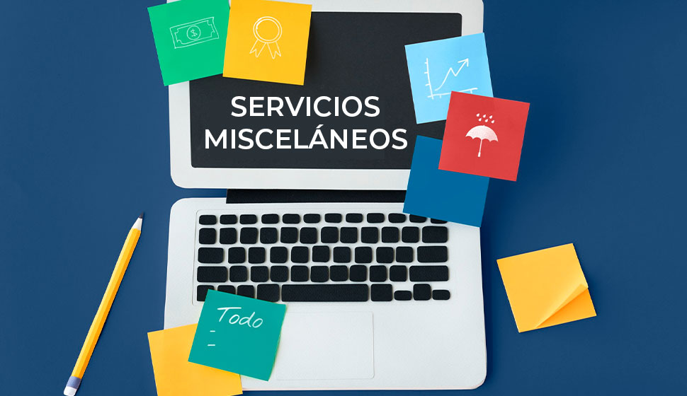servicios_miscelaneos servicios_miscelaneos